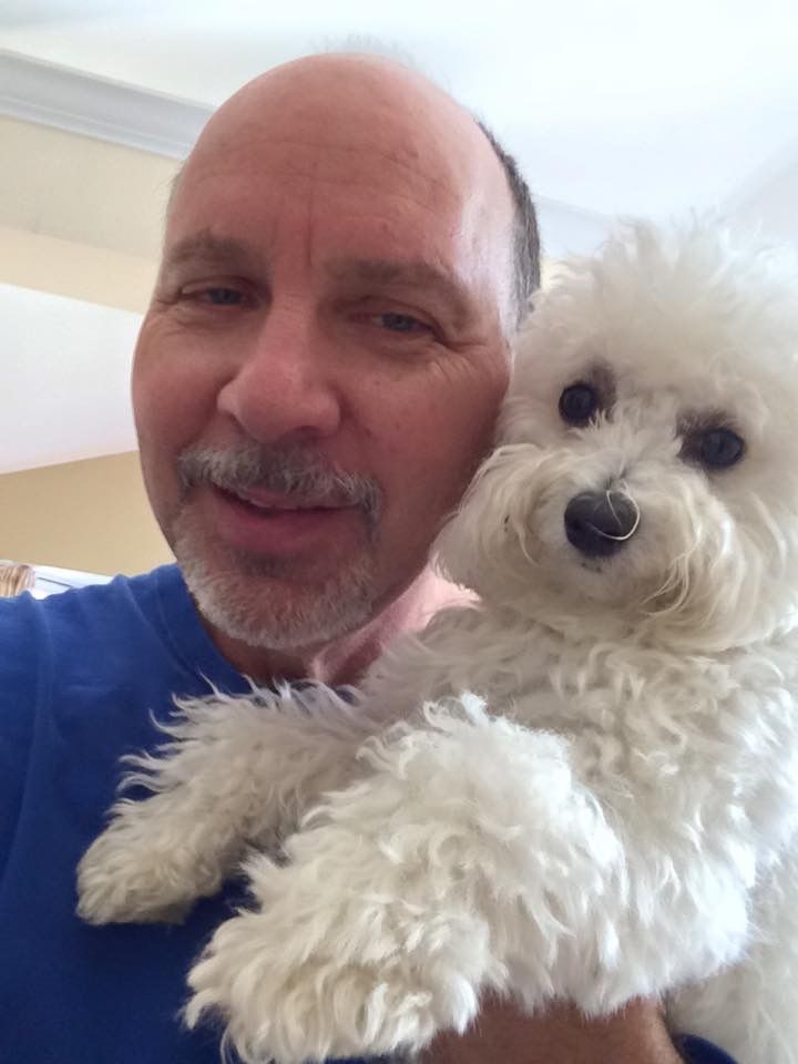 maltese for sale